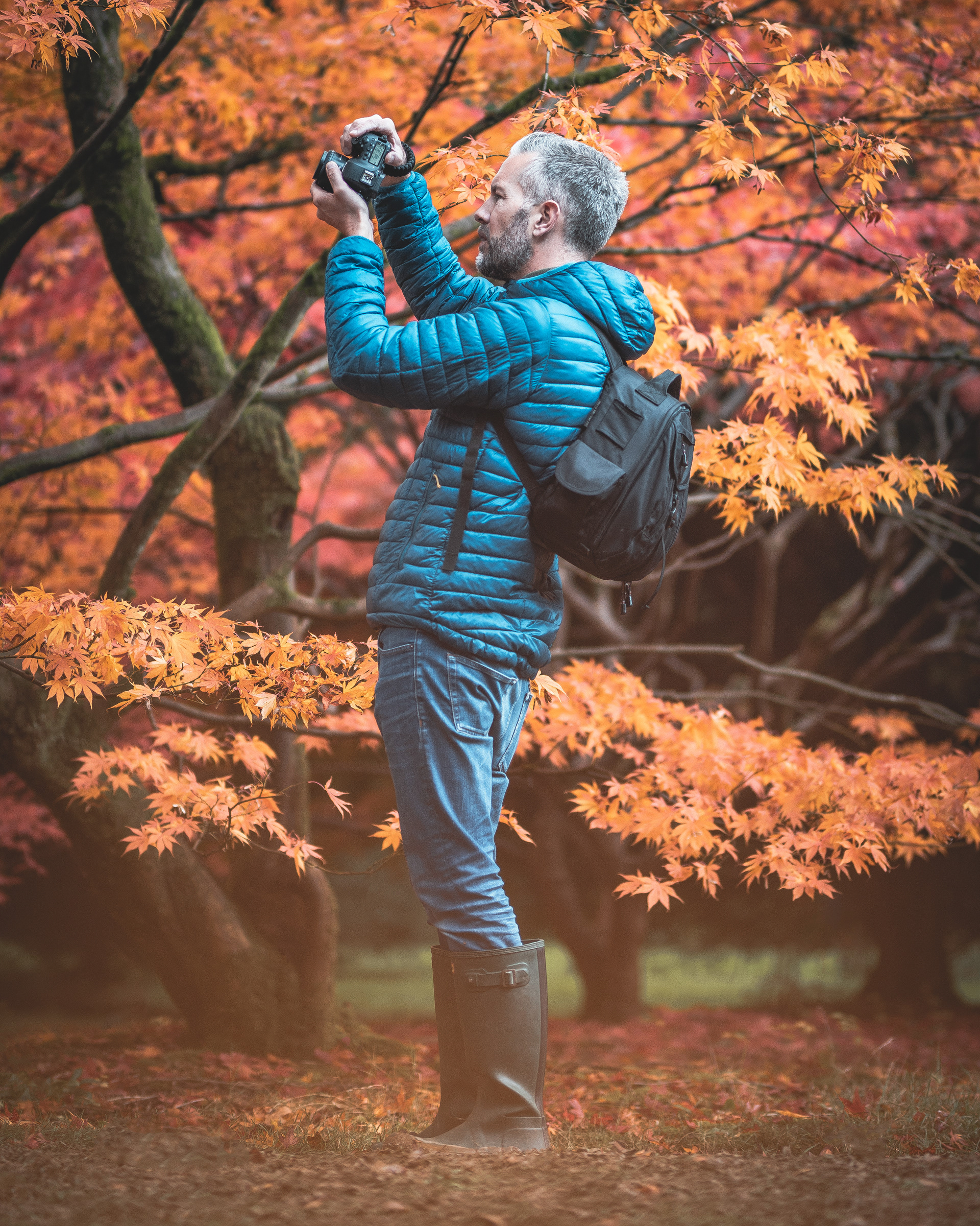autumn at westonbirt arboretum