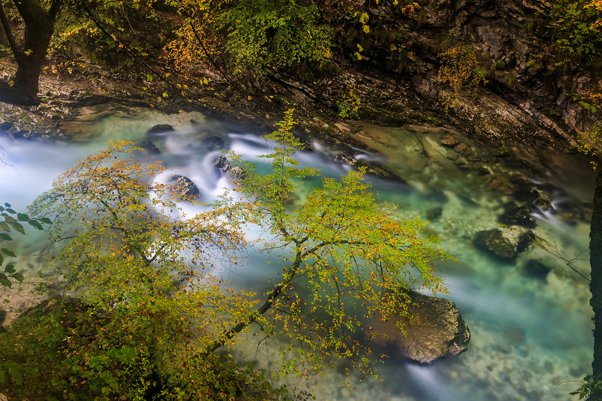 Vintgar Gorge - Bled, Slovenia