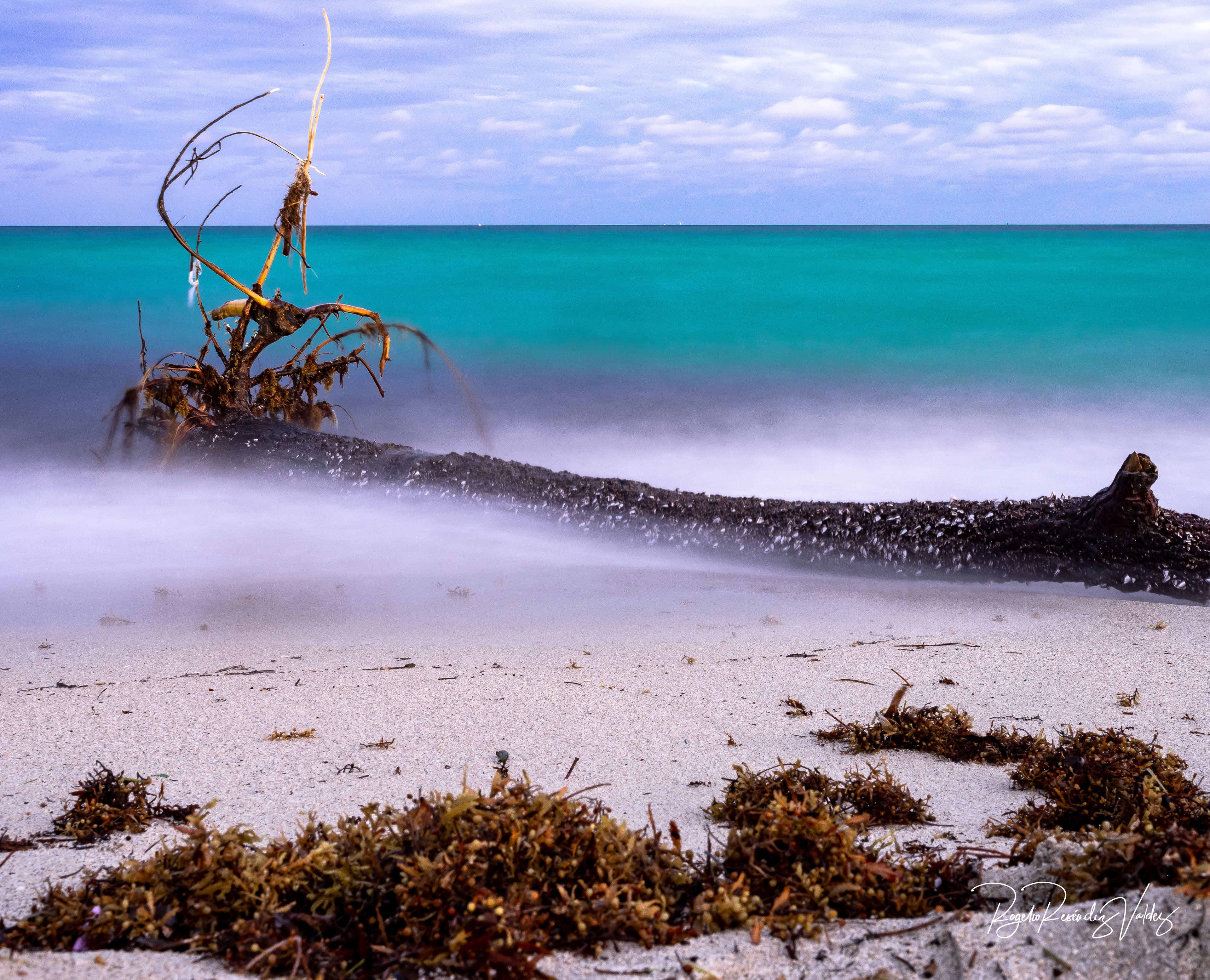 South Beach - Miami, FLO