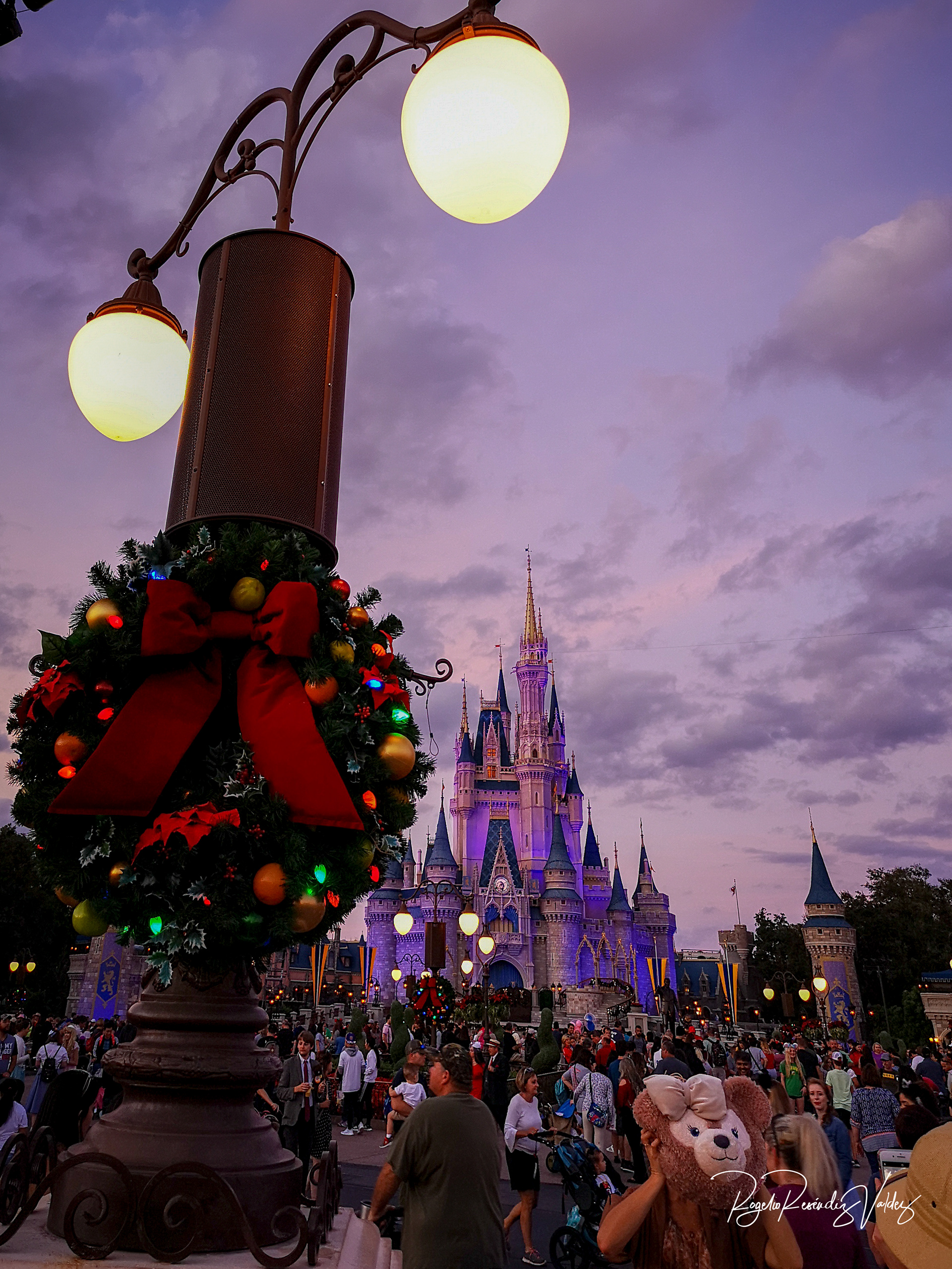 Magic Kingdom Park - Orlando, FLO