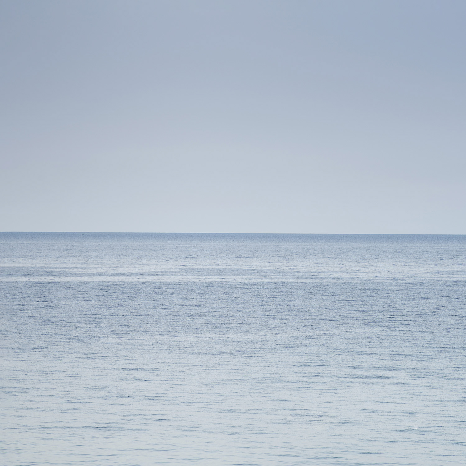Horizon 7 A Format L 0.80 m x H 0.80 m Été 2016