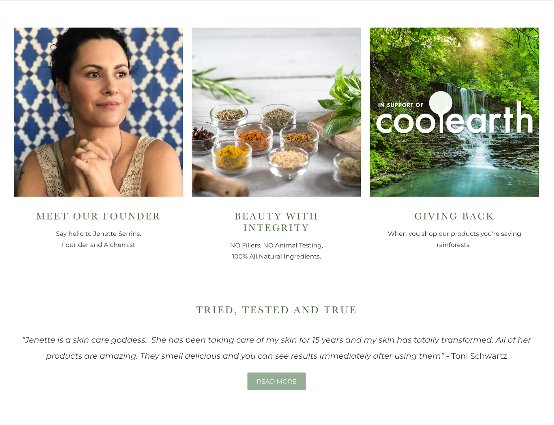 Website screen shot 2