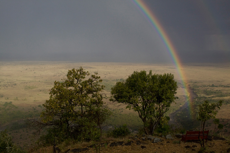 Masai Mara National Reserve, Kenya