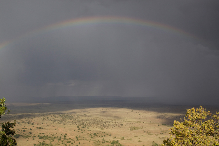 Masai Mara National Reserve, Kenya