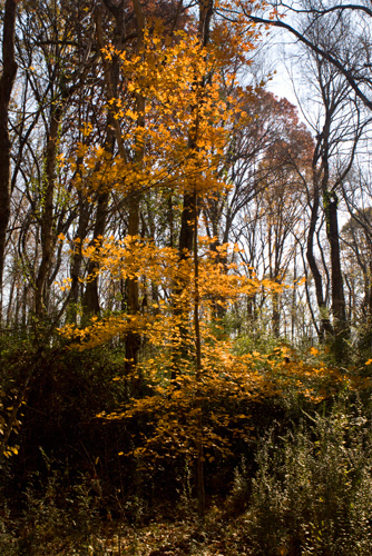 Charlotte, North Carolina, USA