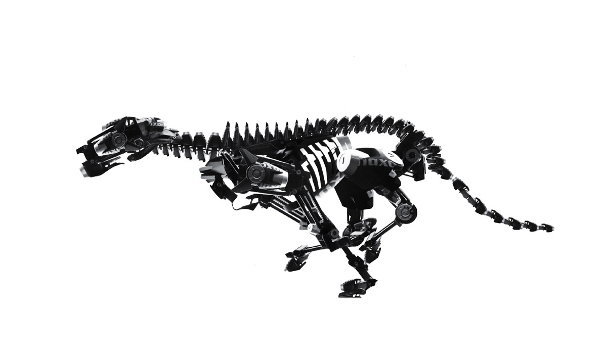 Enigma de madeira T-Rex Skelet PNG transparente - StickPNG
