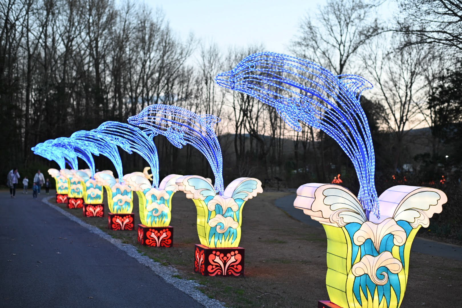 Chinese Lantern Festival - Dolphins