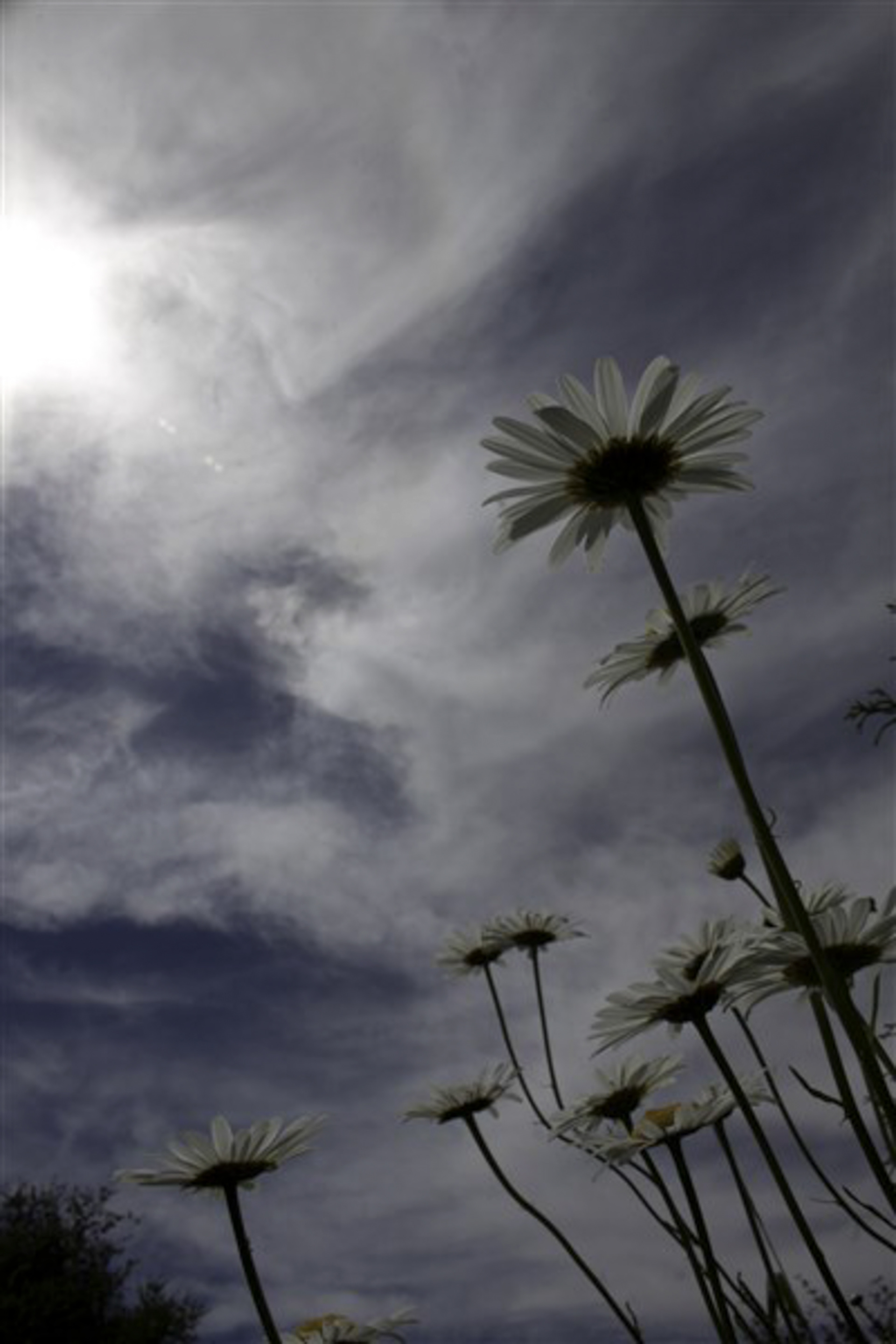 2014 Digital Photograph