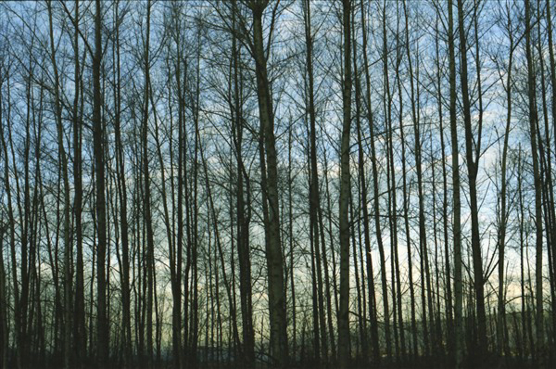 2011 Digital Photograph