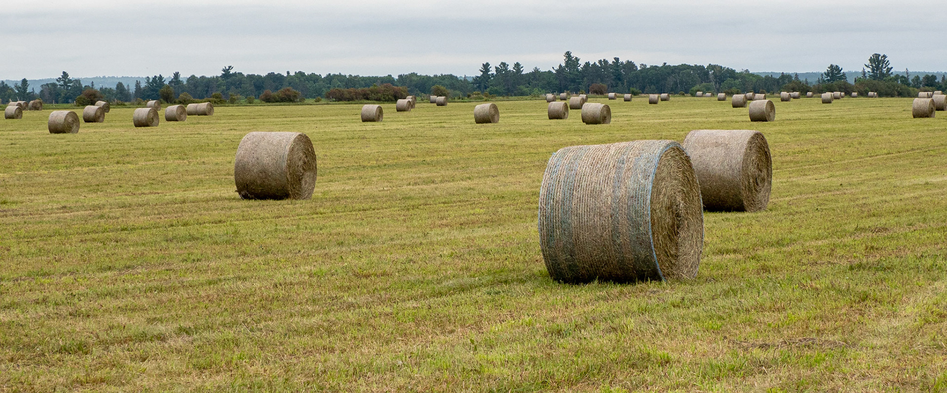 hay bales
