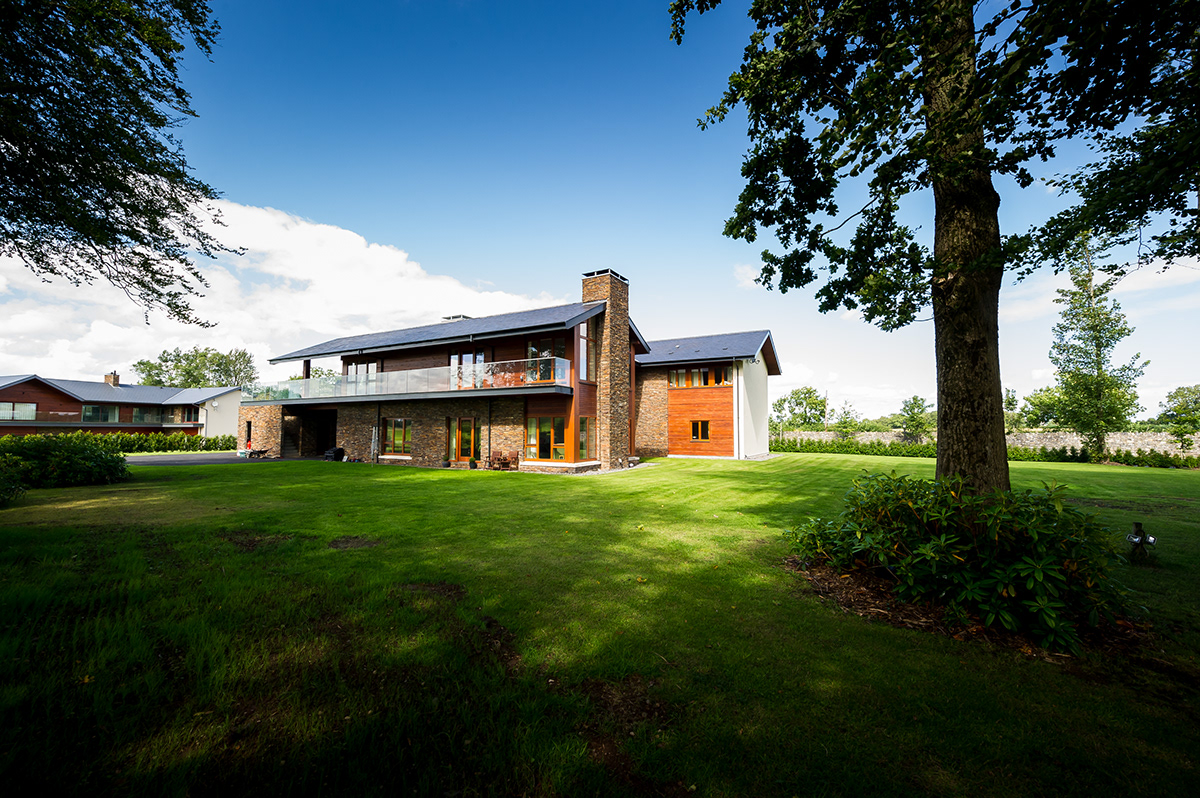 Daithi Taylor Leinster Wood Ireland