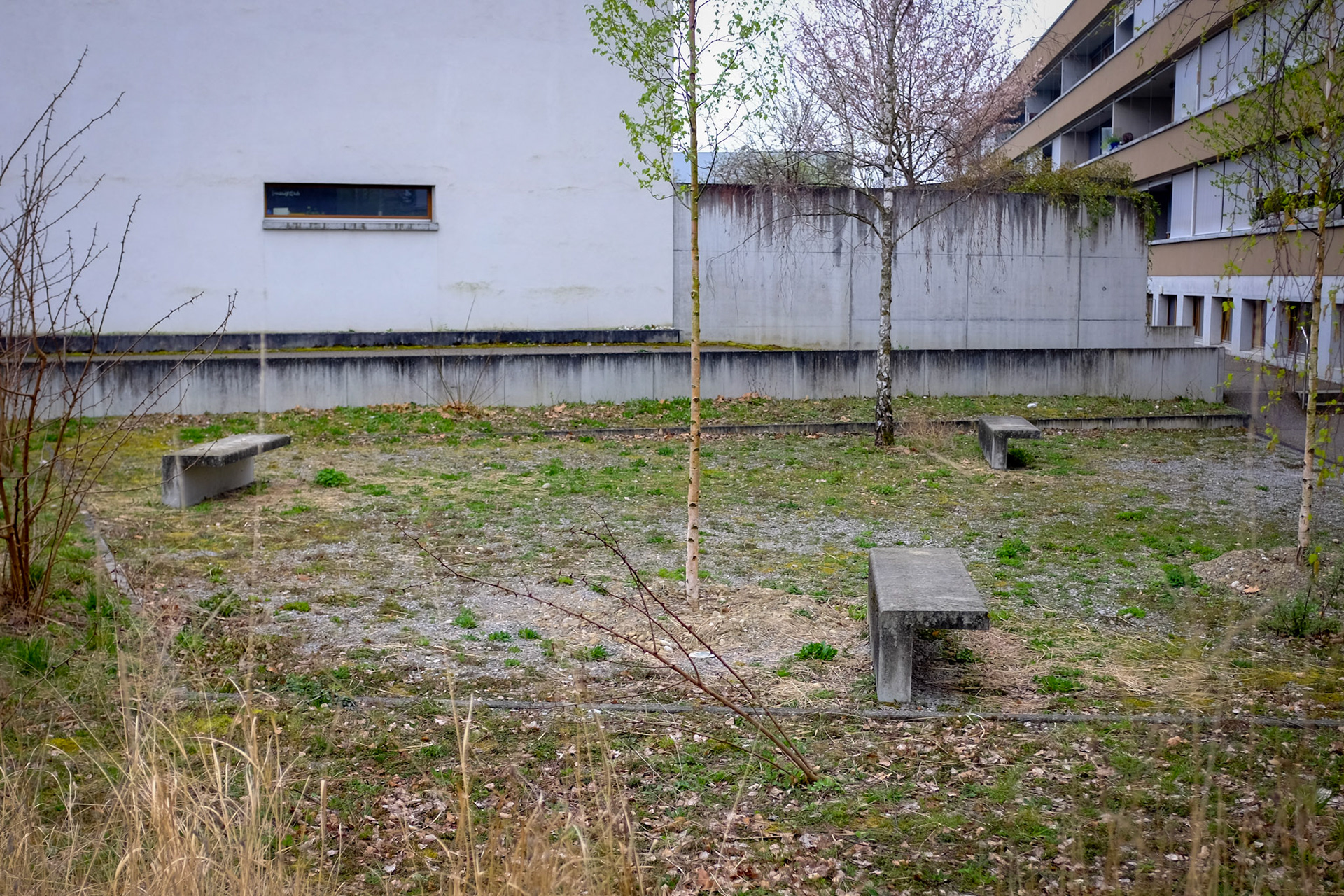 DSCF1143.JPG