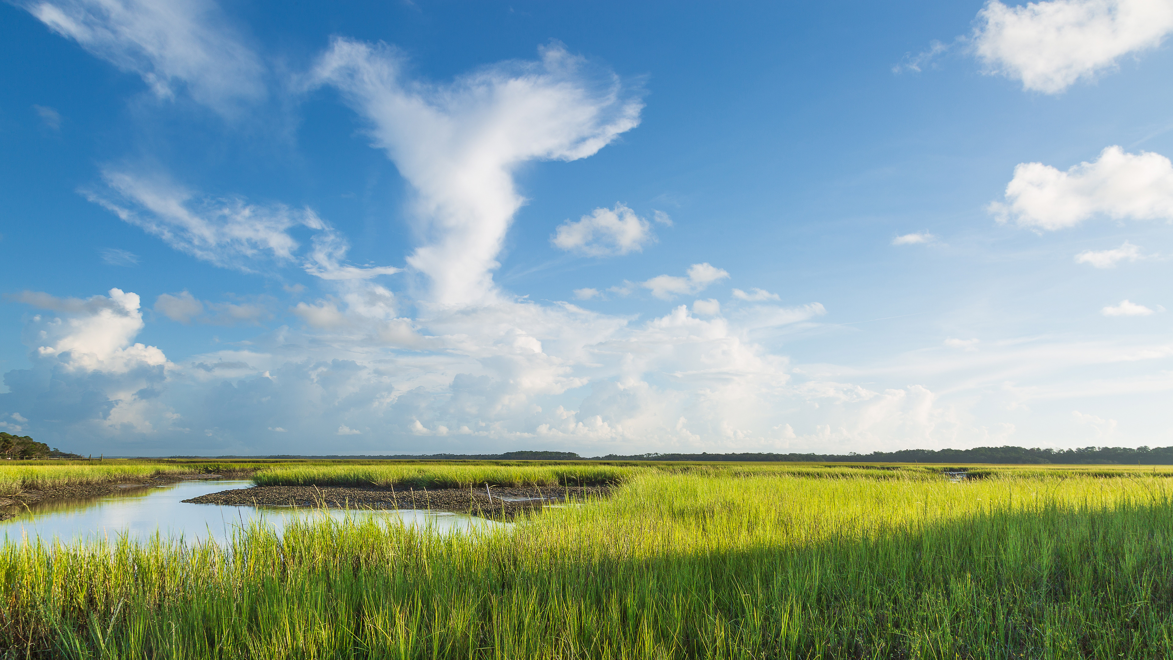 RAThomas Photography - Florida Coastal Habitat