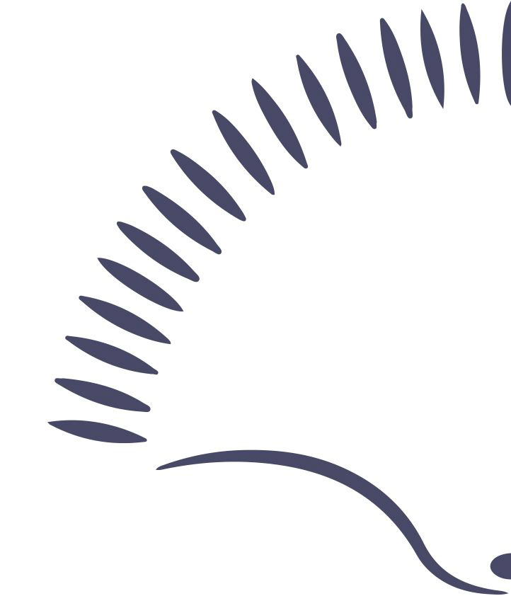 Lindsey ahmet graphic designer withington hedgehog care trust logo brief image
