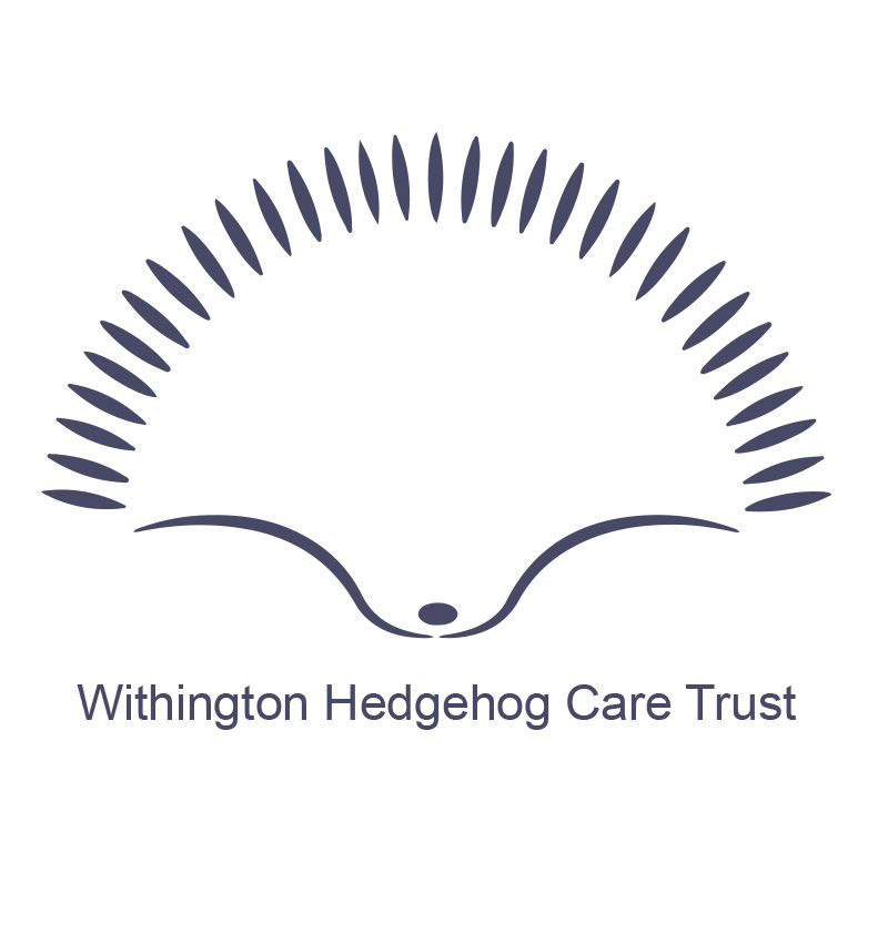 Lindsey ahmet graphic designer withington hedgehog care trust logo brief image Manchester