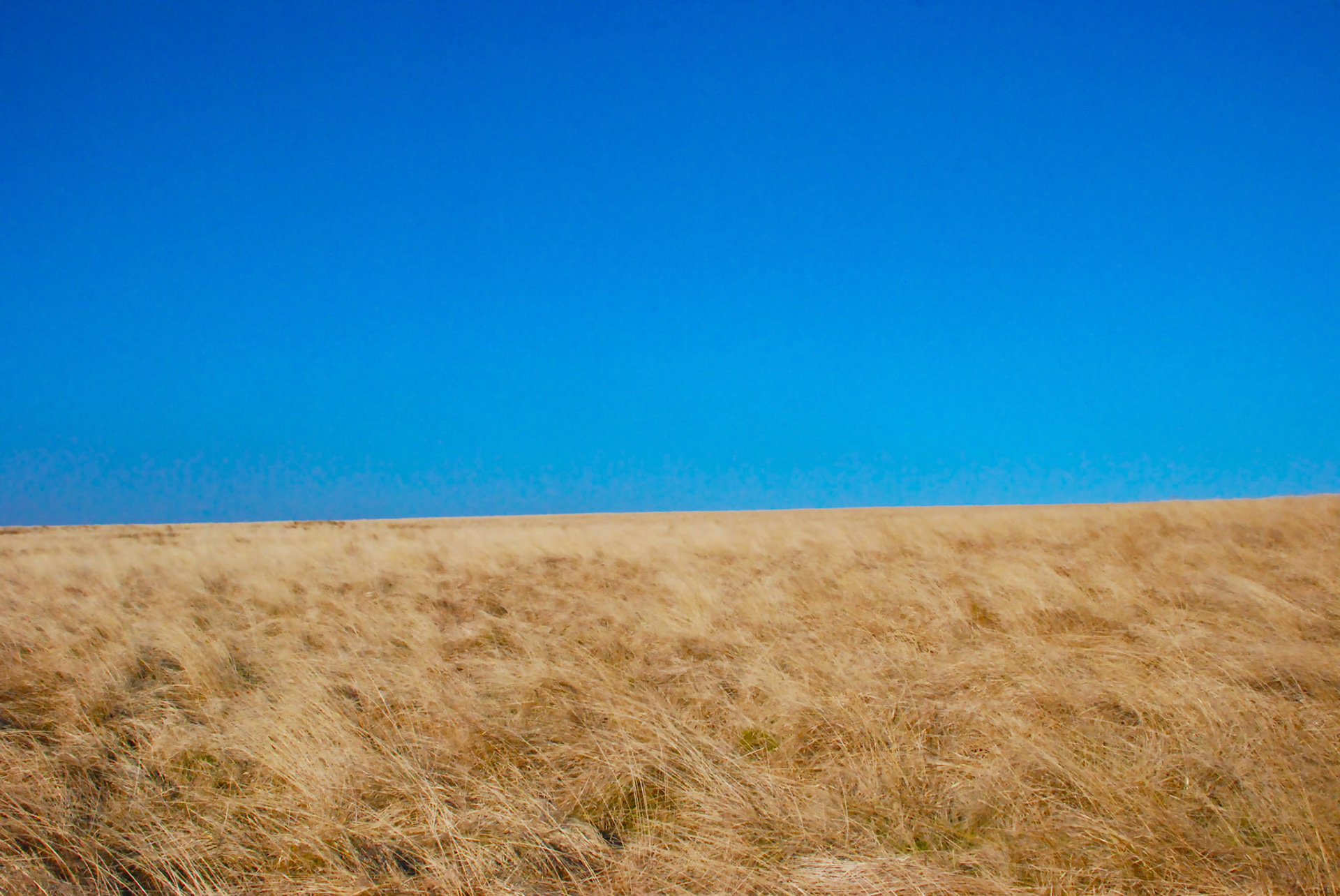 Landscape Nature photographer