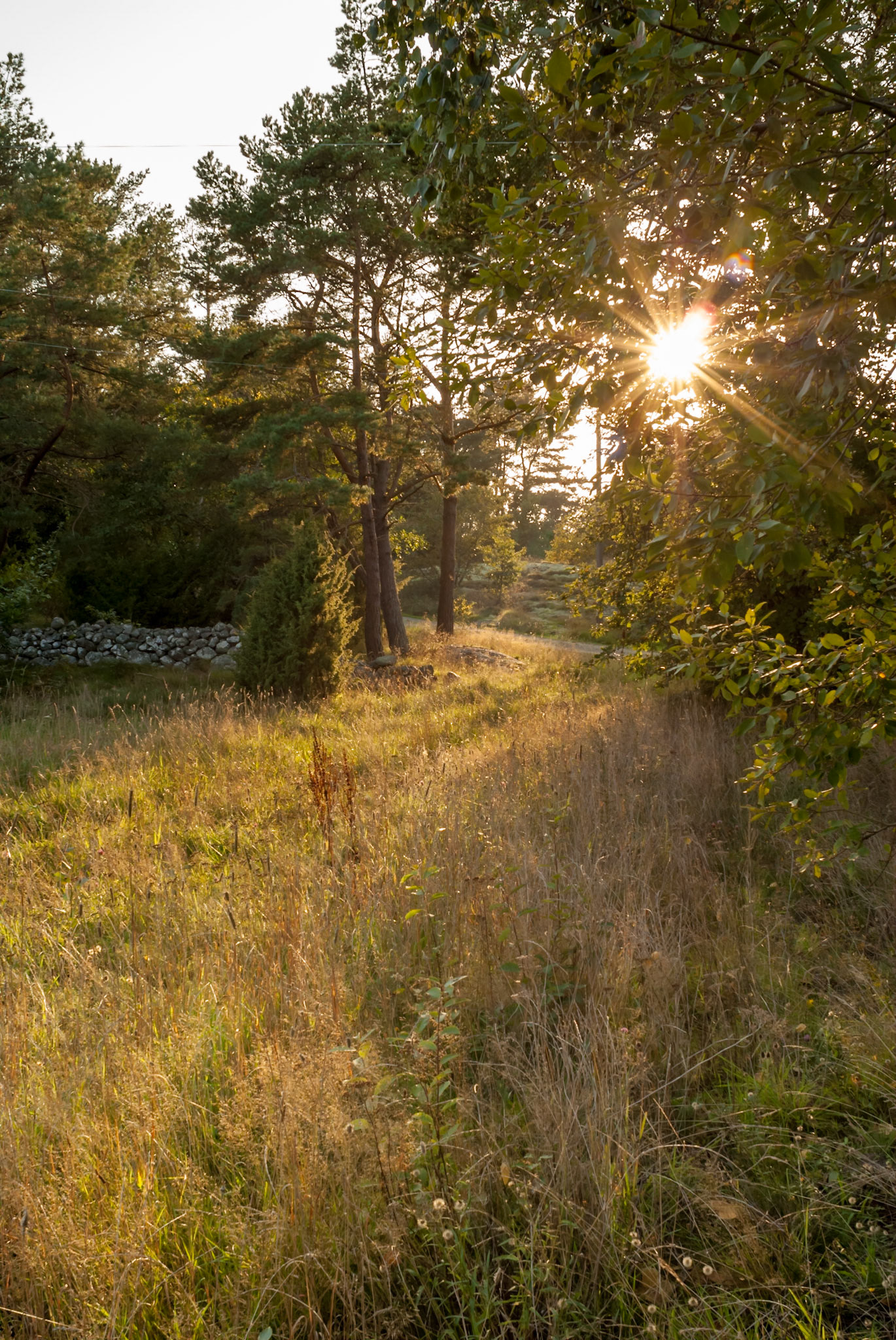 ISO 200 | 24 mm | f/13 | 1/40 s