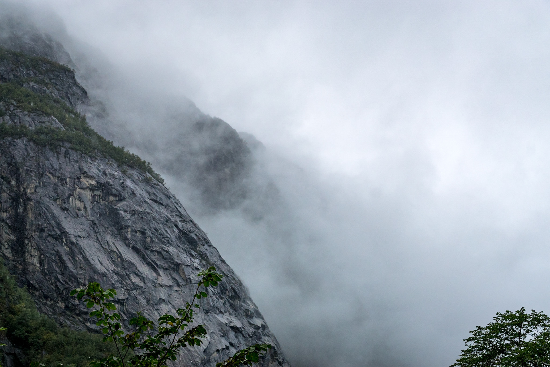 Sony ILCA-77M2 | DT 16-50mm F2.8 SSM @ ISO 800 | 50 mm | f/7.1 | 1/800 s