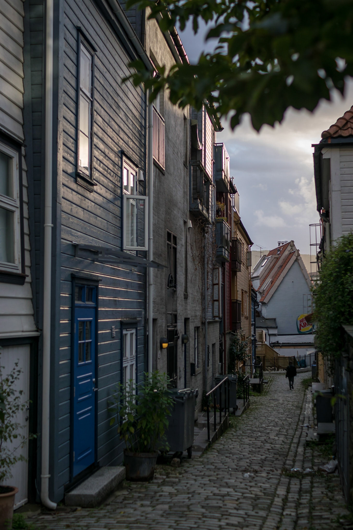 Sony ILCA-77M2 | DT 30mm F1.4 @ ISO 100 | 30 mm | f/2.2 | 1/800 s