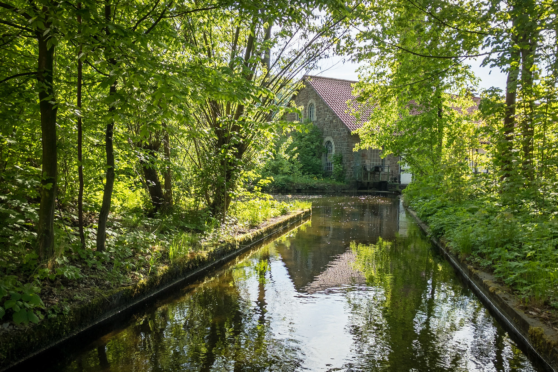 Apple iPhone 8 | iPhone 8 back camera 3.99mm f/1.8 @ ISO 25 | 3.99 mm | f/1.8 | 1/8000 s