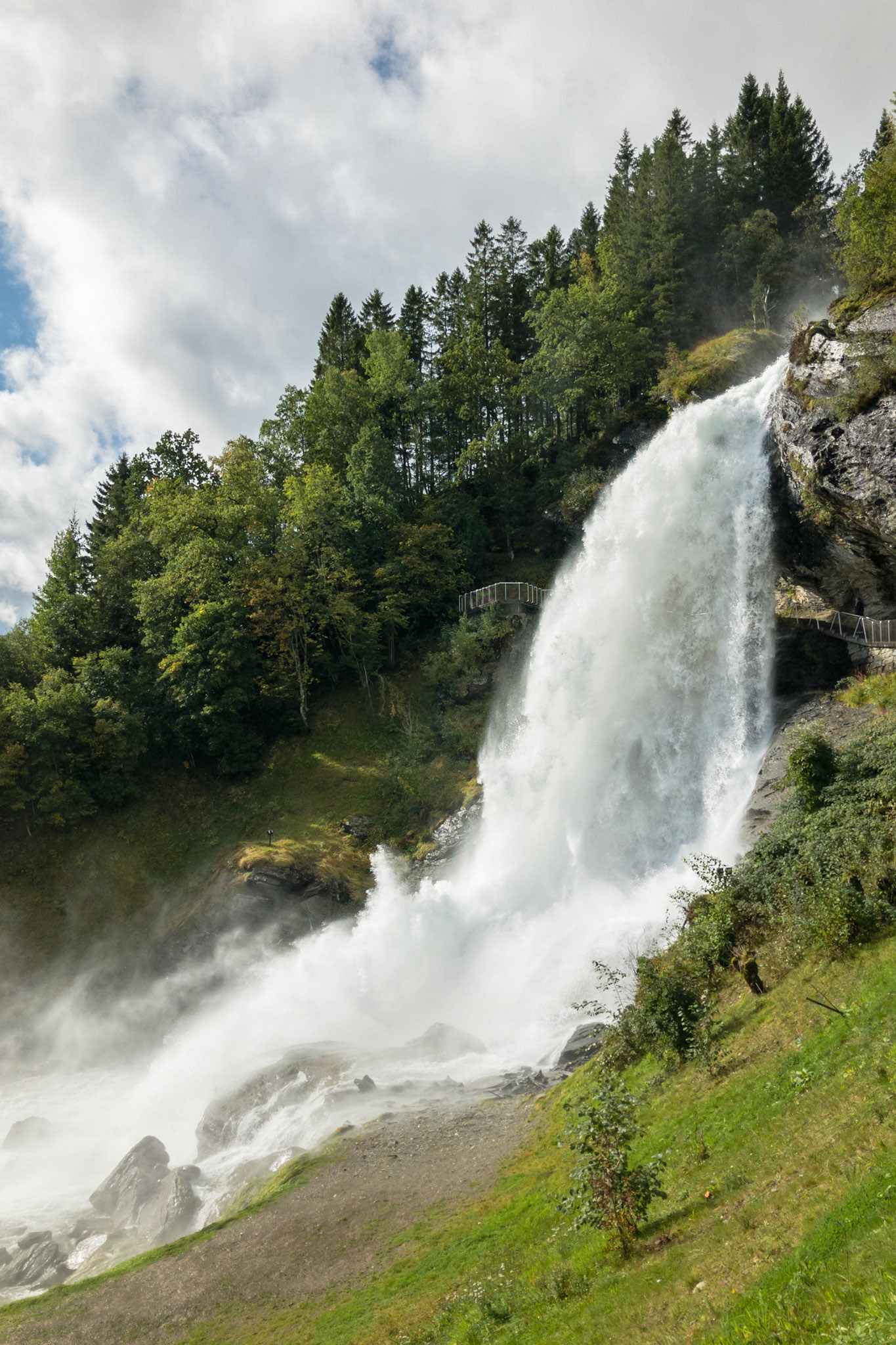 Apple iPhone 8 @ ISO 20 | 3.99 mm | f/1.8 | 1/24000 s