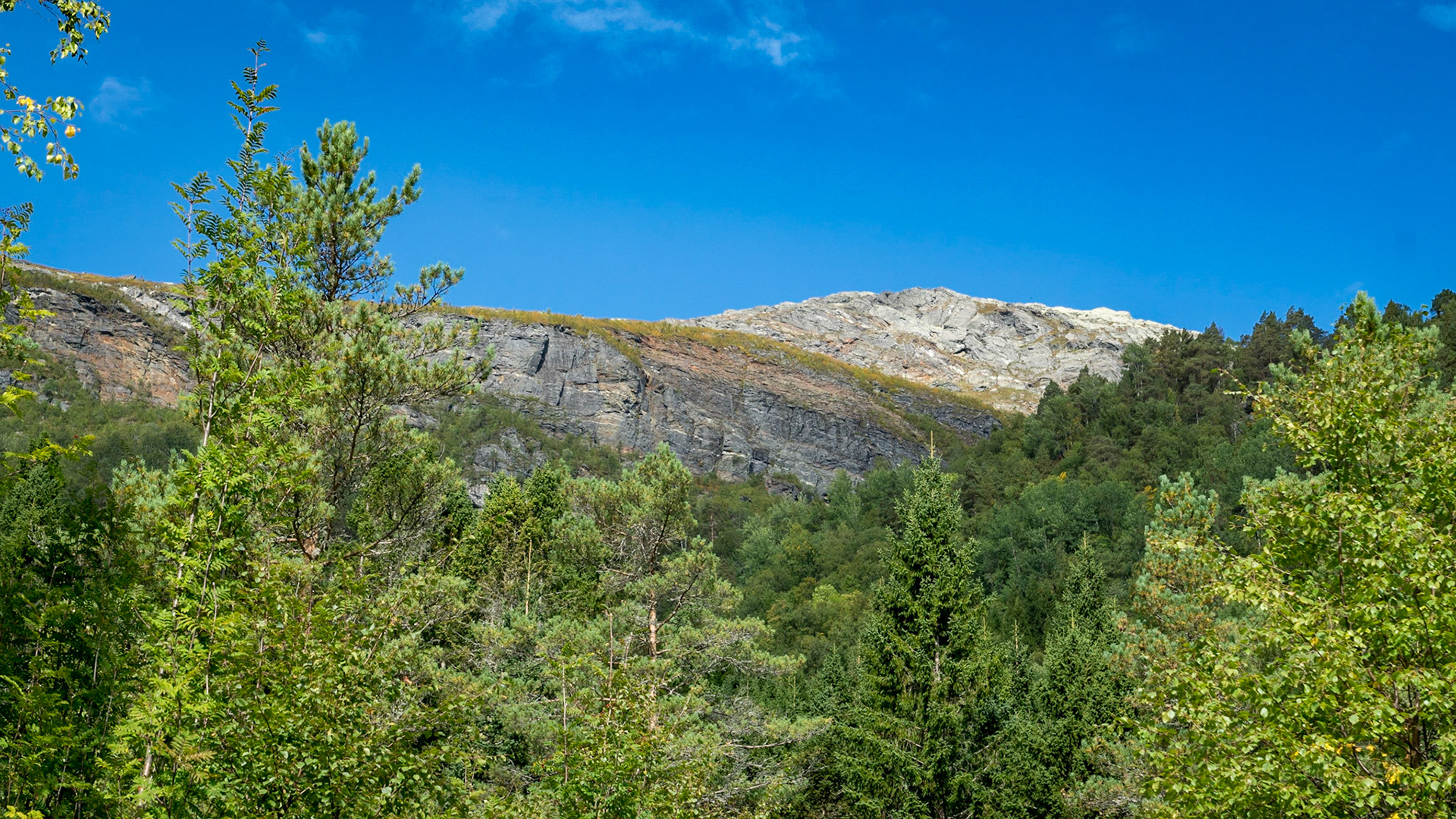 Sony ILCA-77M2 | DT 16-50mm F2.8 SSM @ ISO 100 | 50 mm | f/8 | 1/160 s