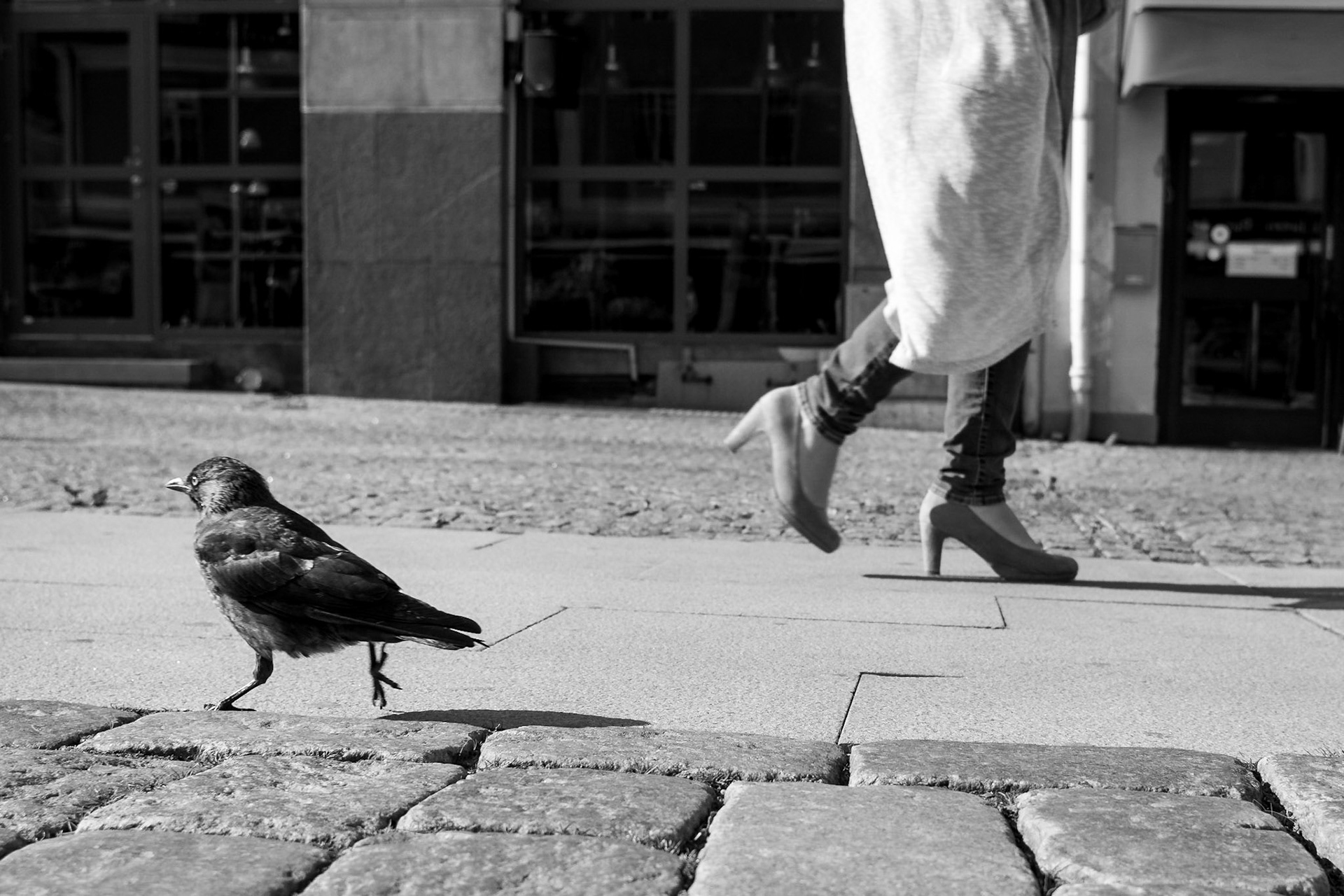 ISO 100 | 24 mm | f/5 | 1/500 s