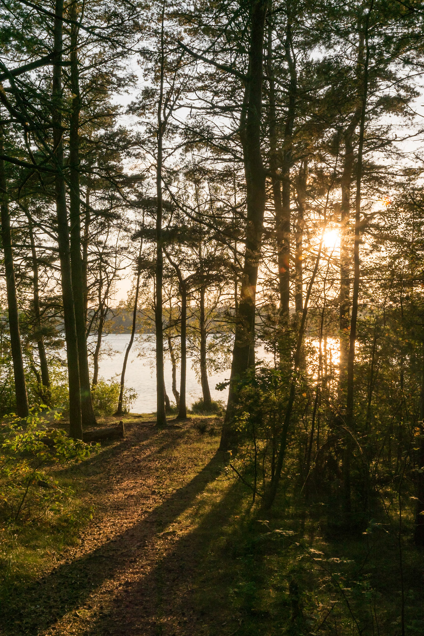 ISO 200 | 24 mm | f/14 | 1/60 s