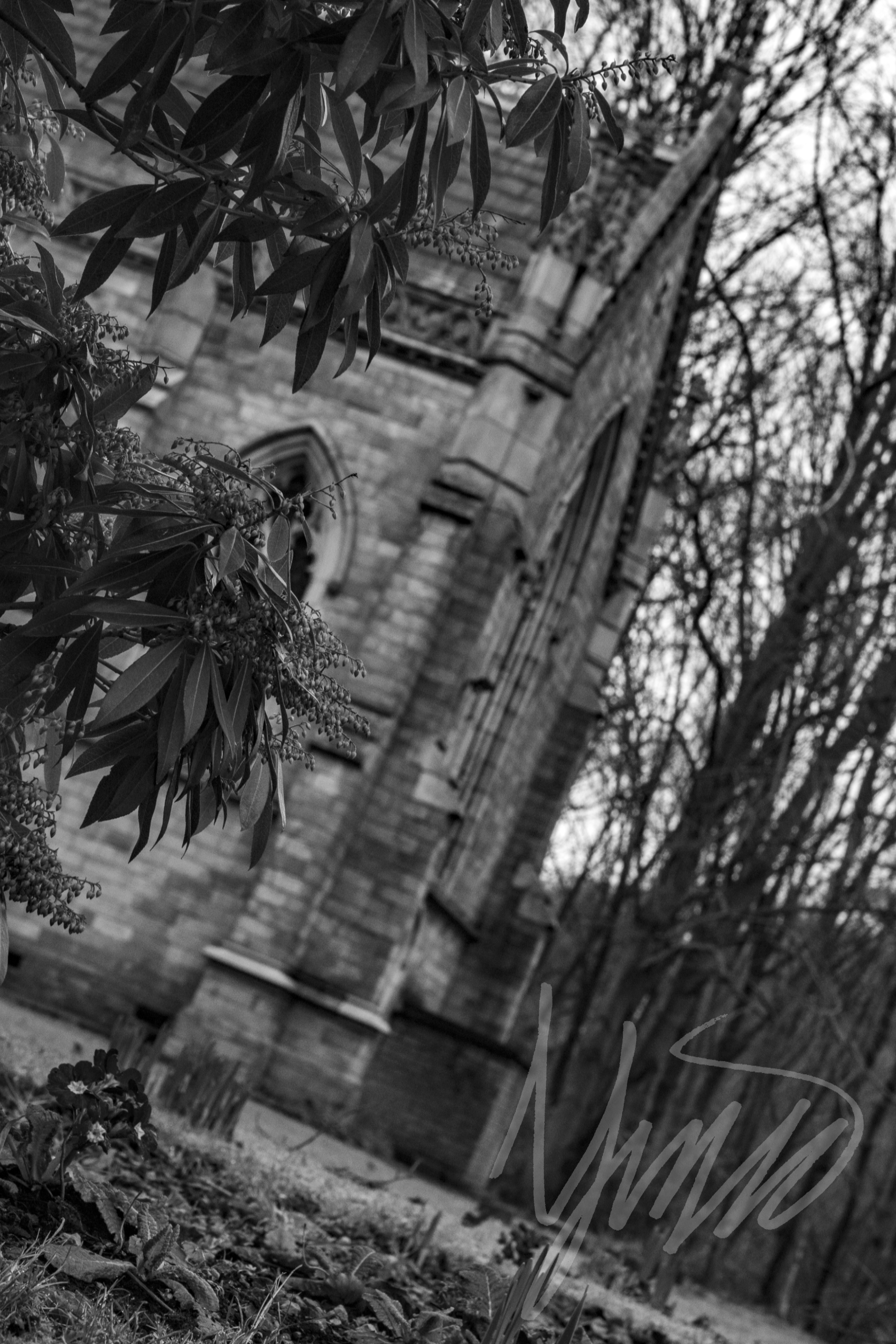 St. Stephens Church Gardens