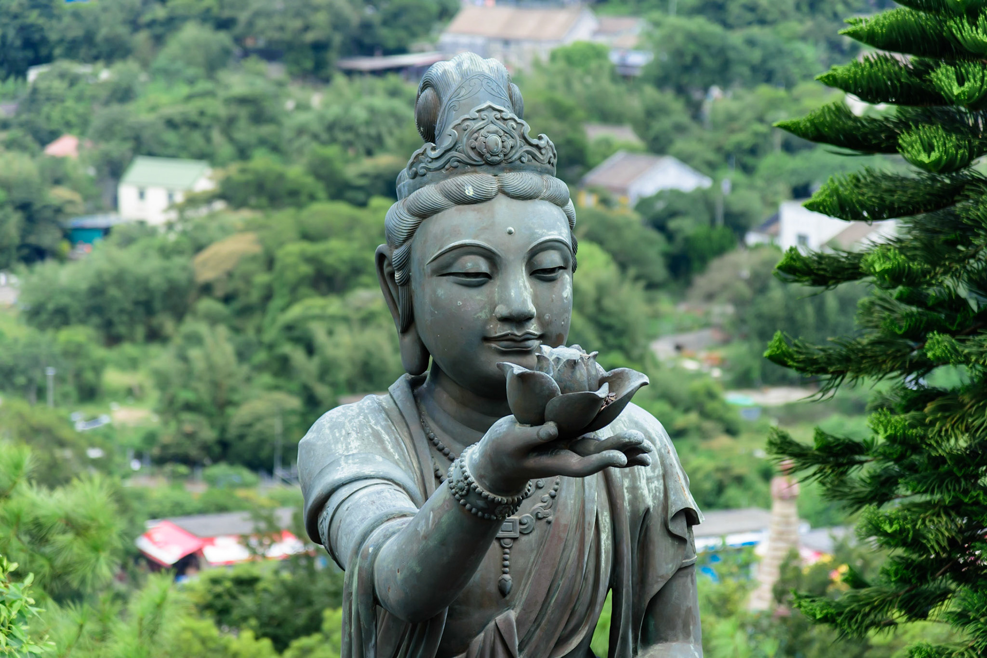 Сам будда. Уханьский Будда. Лоэщнская Будда. Статуя Будды в Гонконге. Красивый Будда.