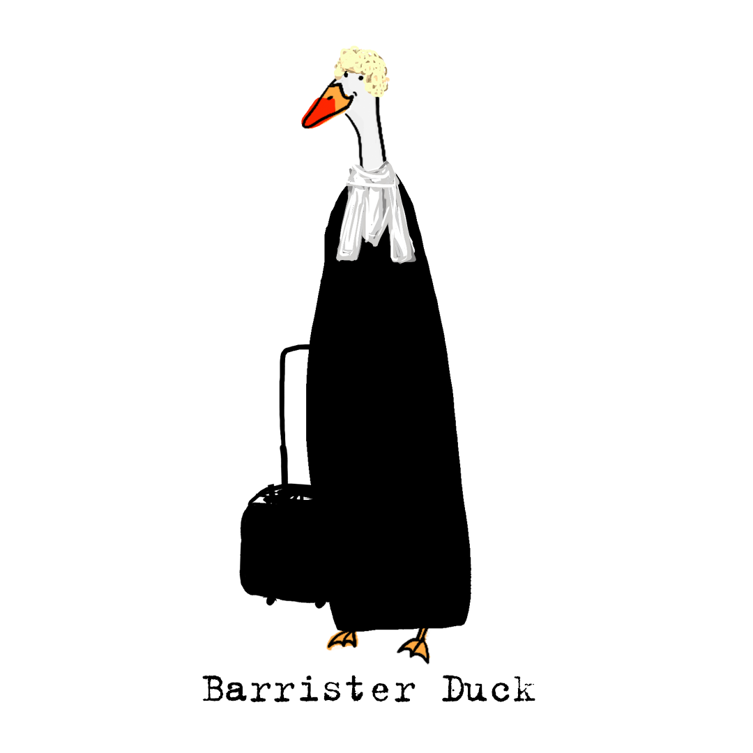 Our ducks are powerful and mostly women.