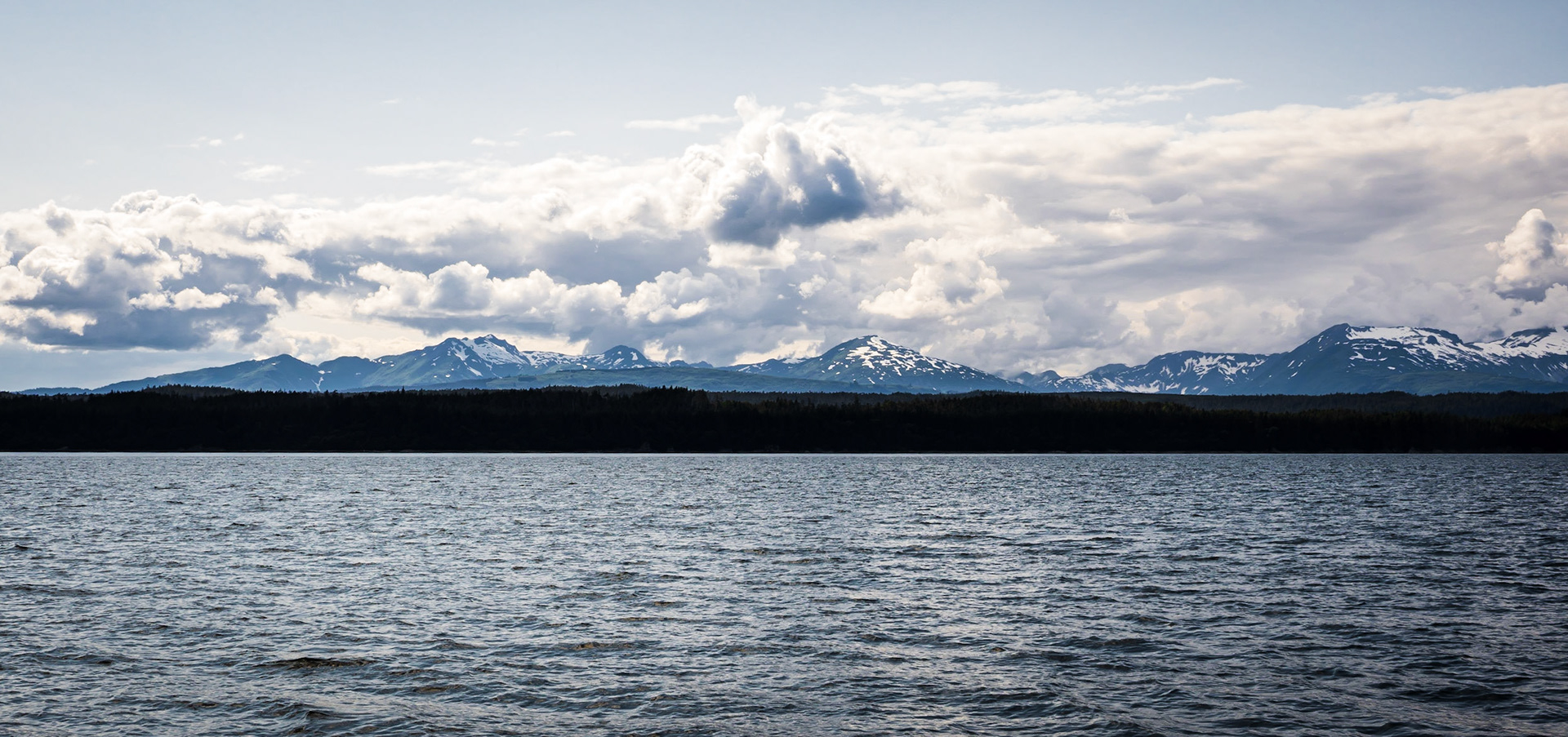 Endicott Arm Shoreline from the Celebrity Millennium