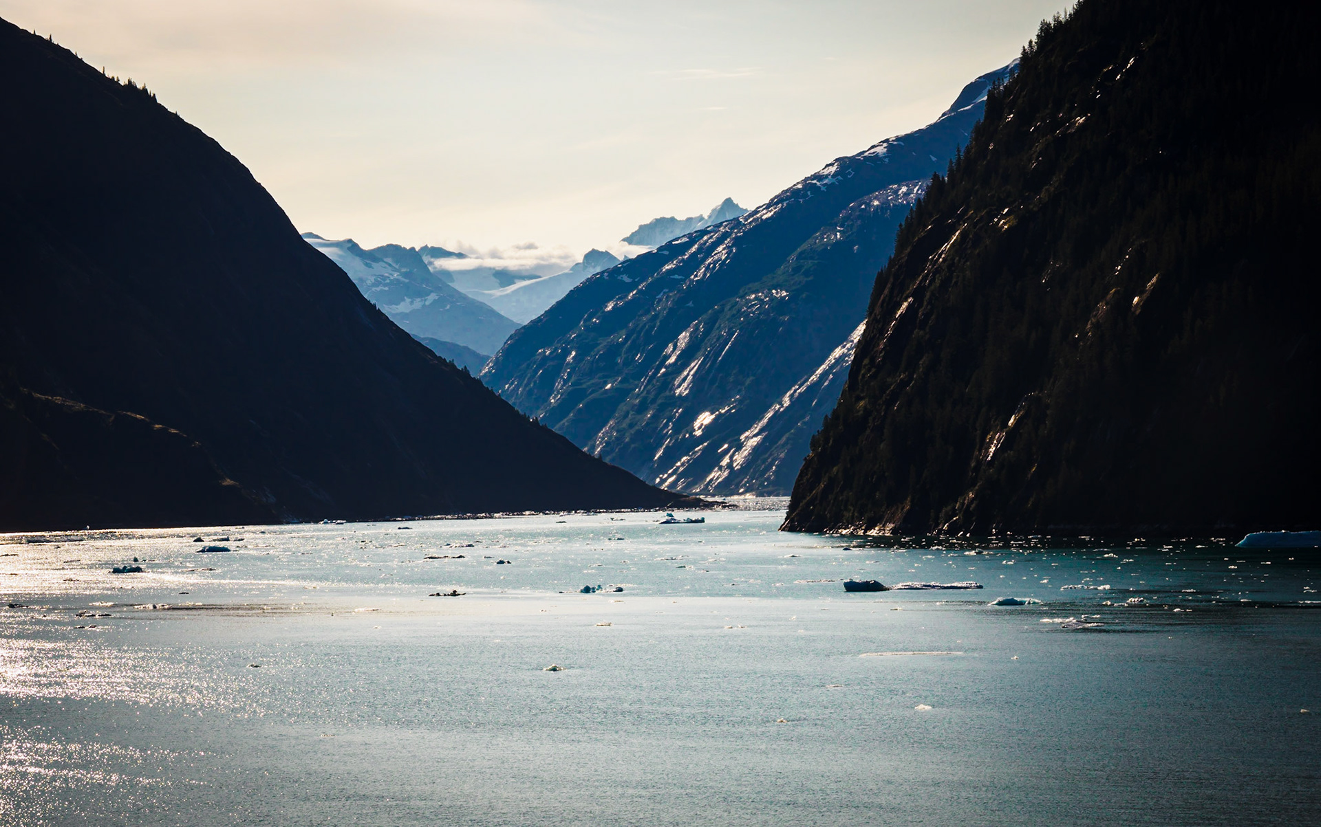 Dawes Glacier from the Celebrity Millennium