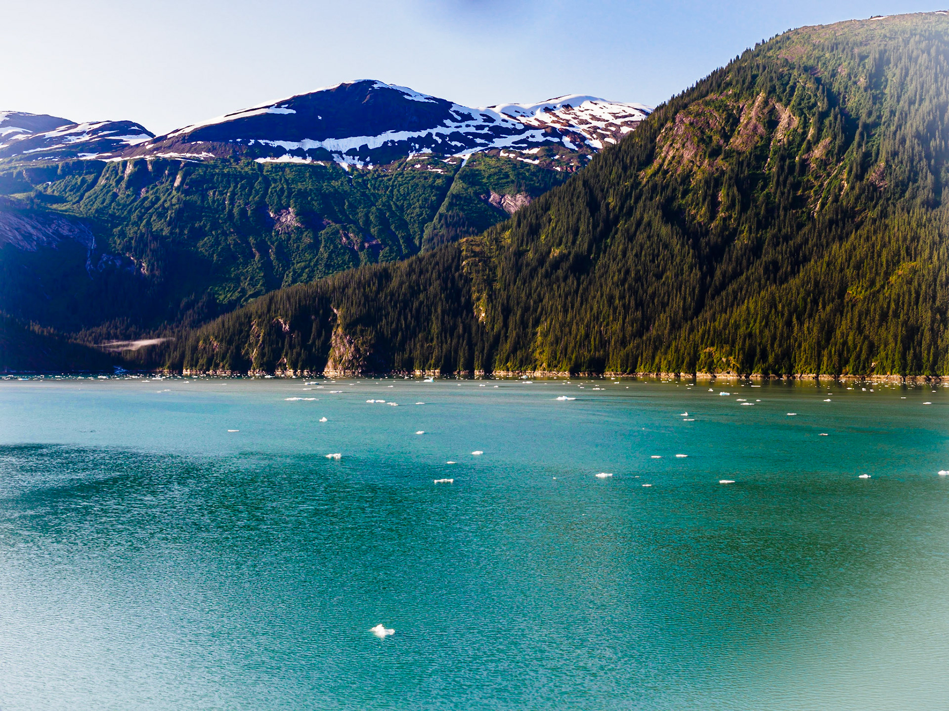 Dawes Glacier Iceflow from the Celebrity Millennium