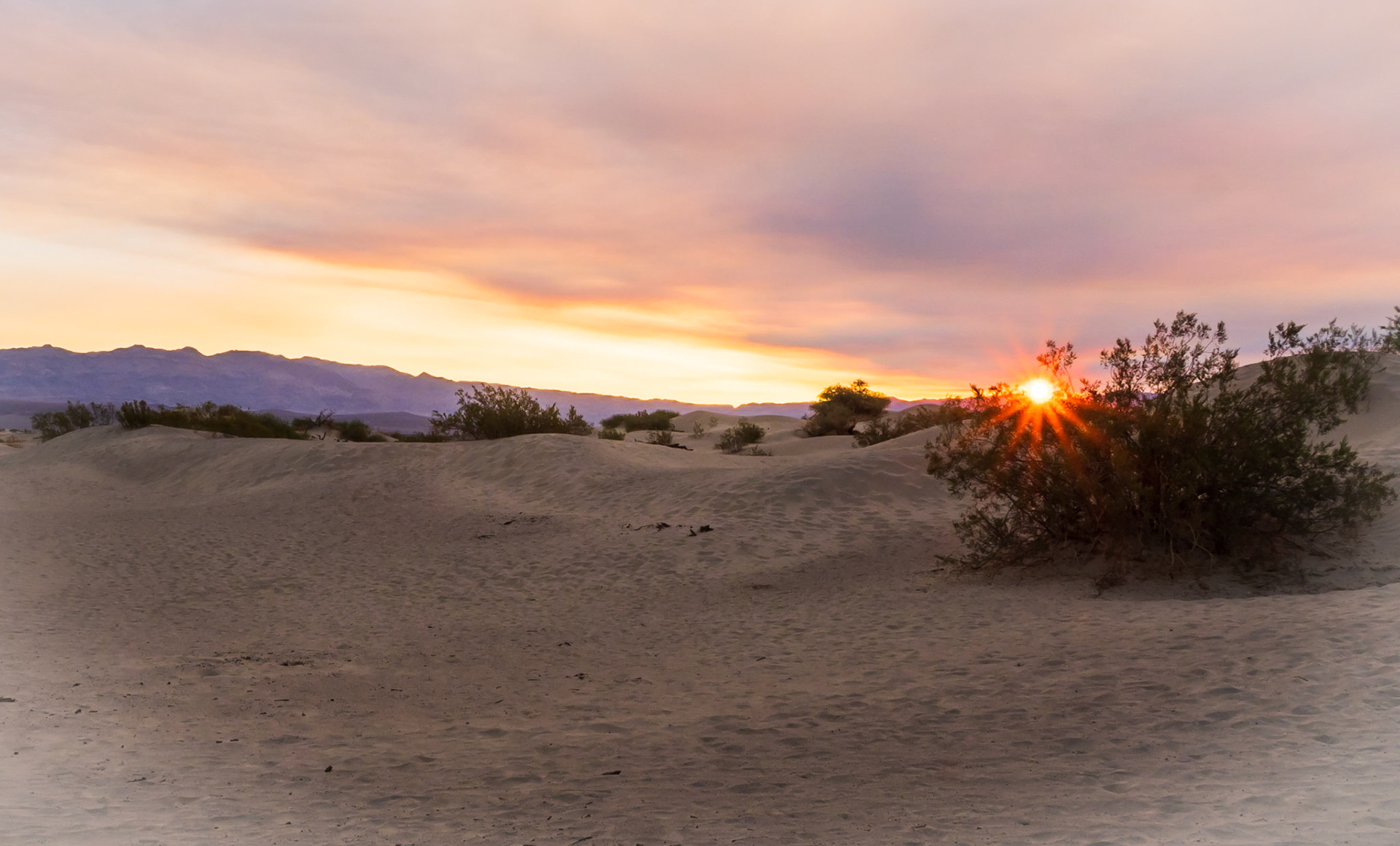Sunrise at Mesquite Flat