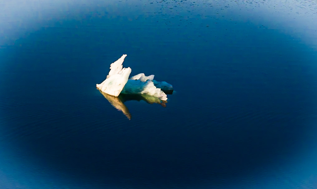 Dawes Glacier Iceflow from the Celebrity Millennium