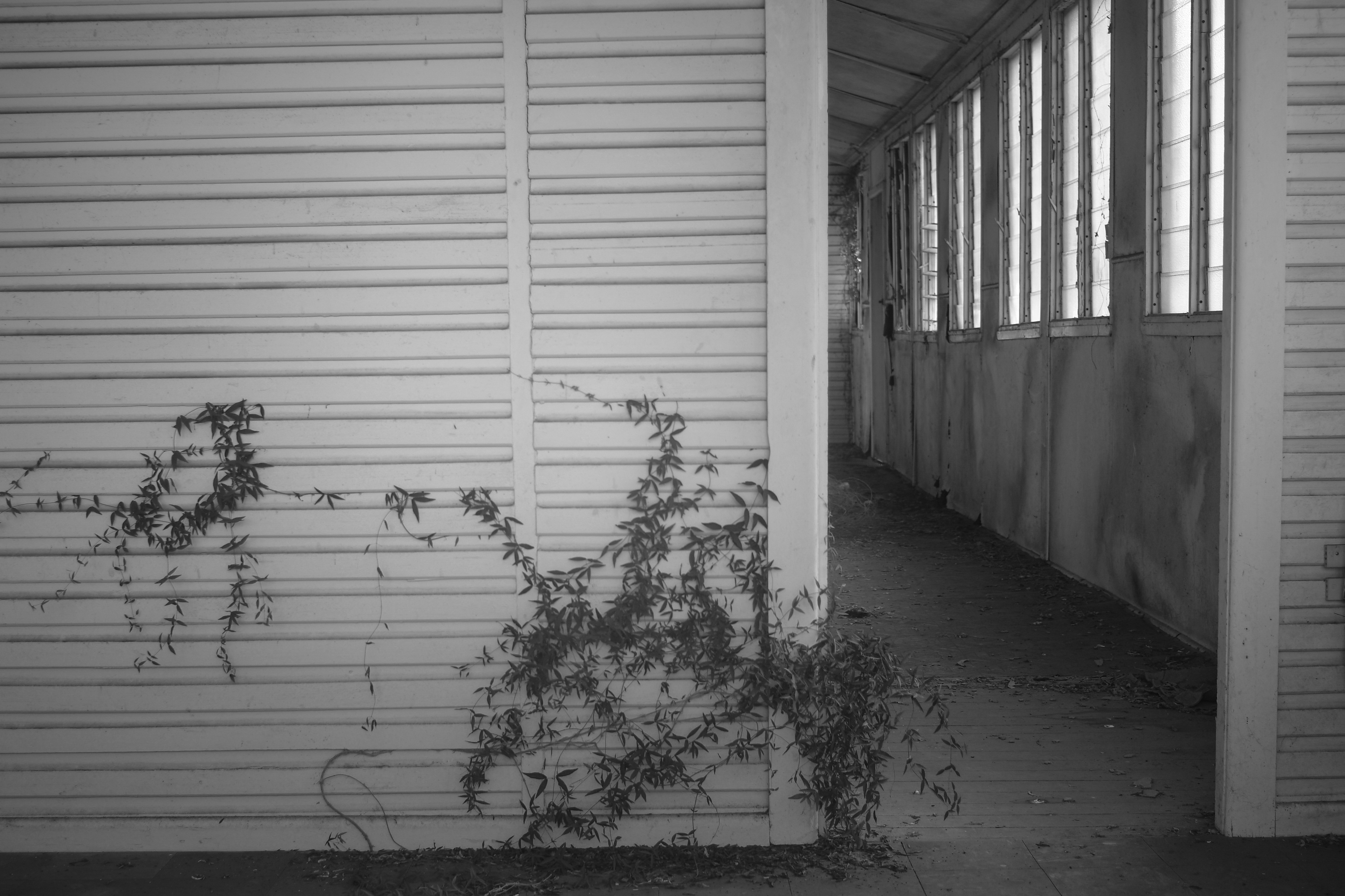 Scheyville Camp Precinct