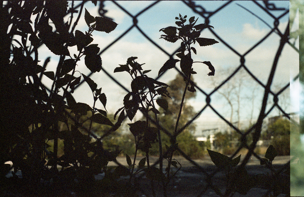 Carriageworks, Redfern, NSW