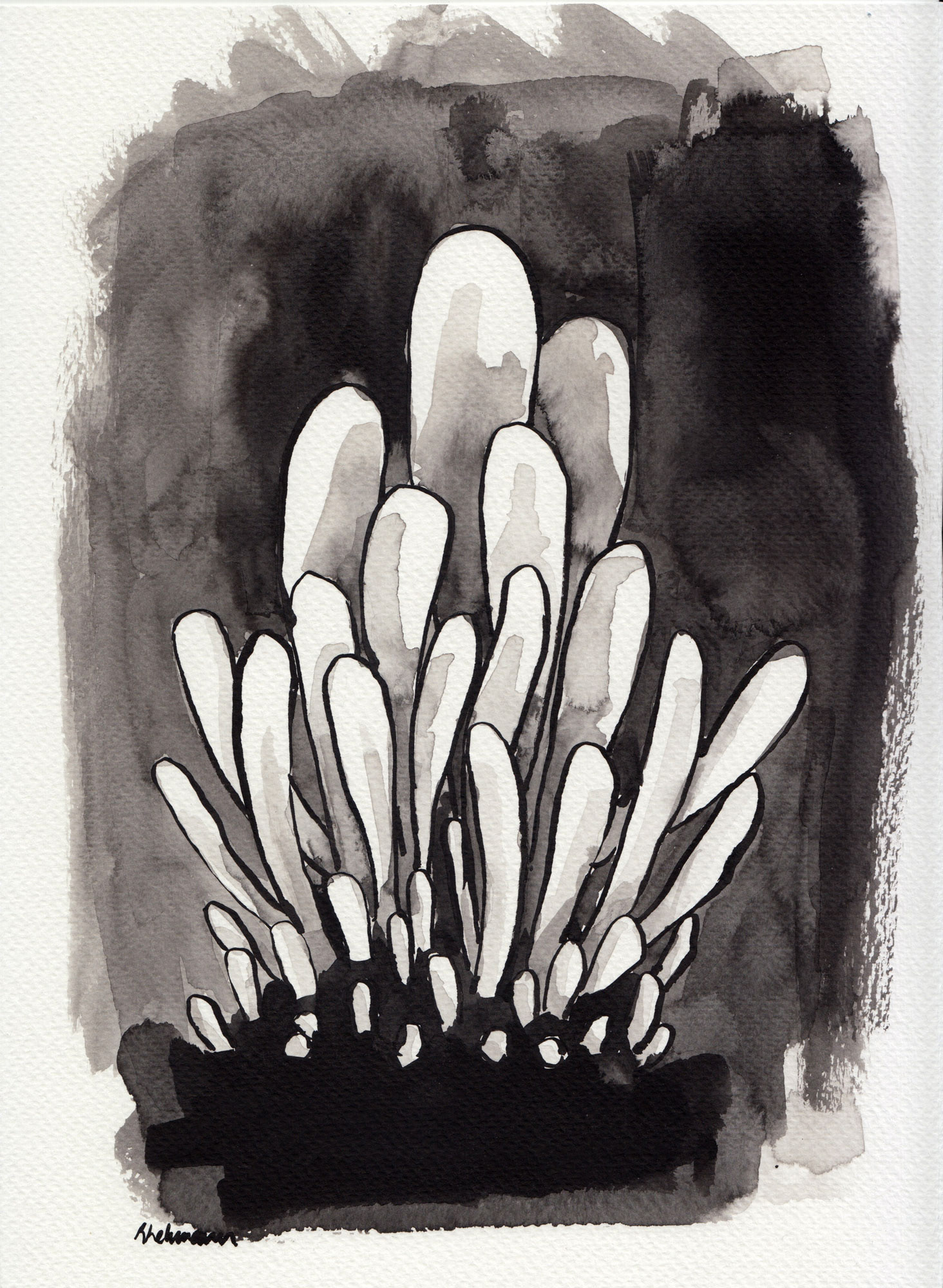 Clubfungus - 29.5 x 21cm £25