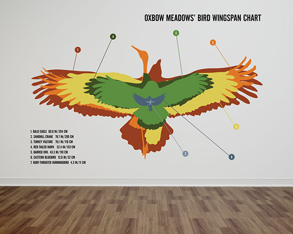 victoria-neundorfer-oxb-bird-wingspan