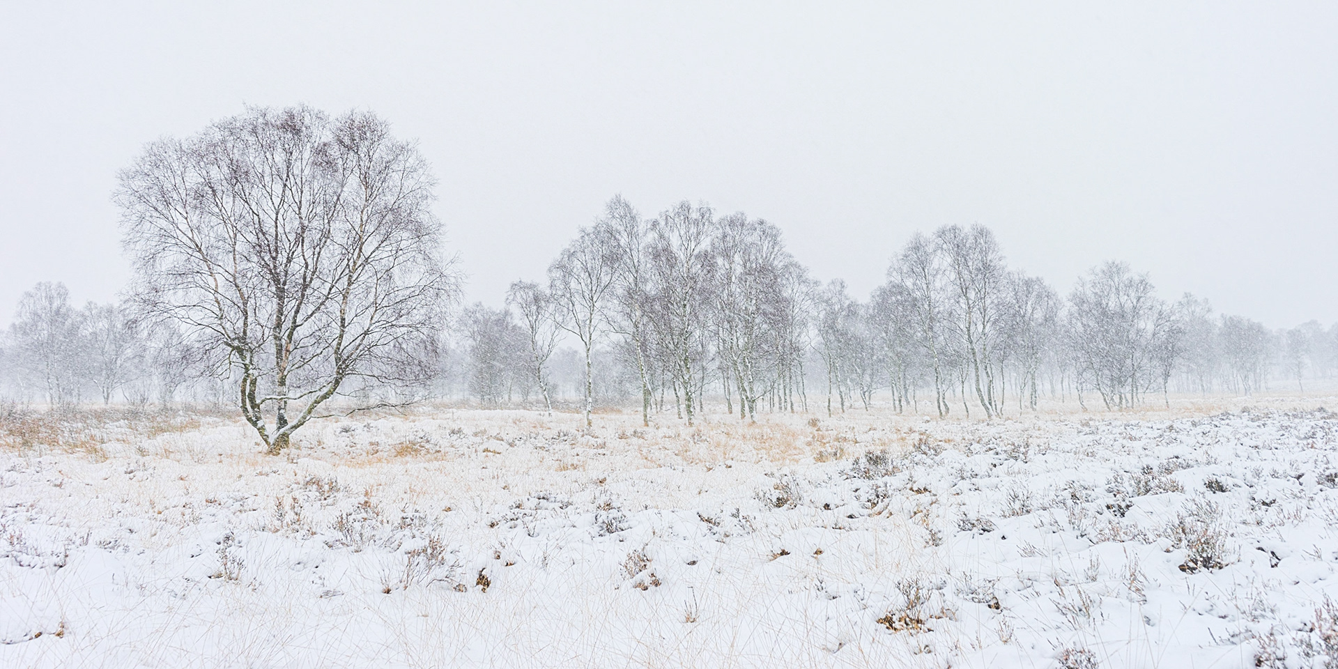 Moorland Snow