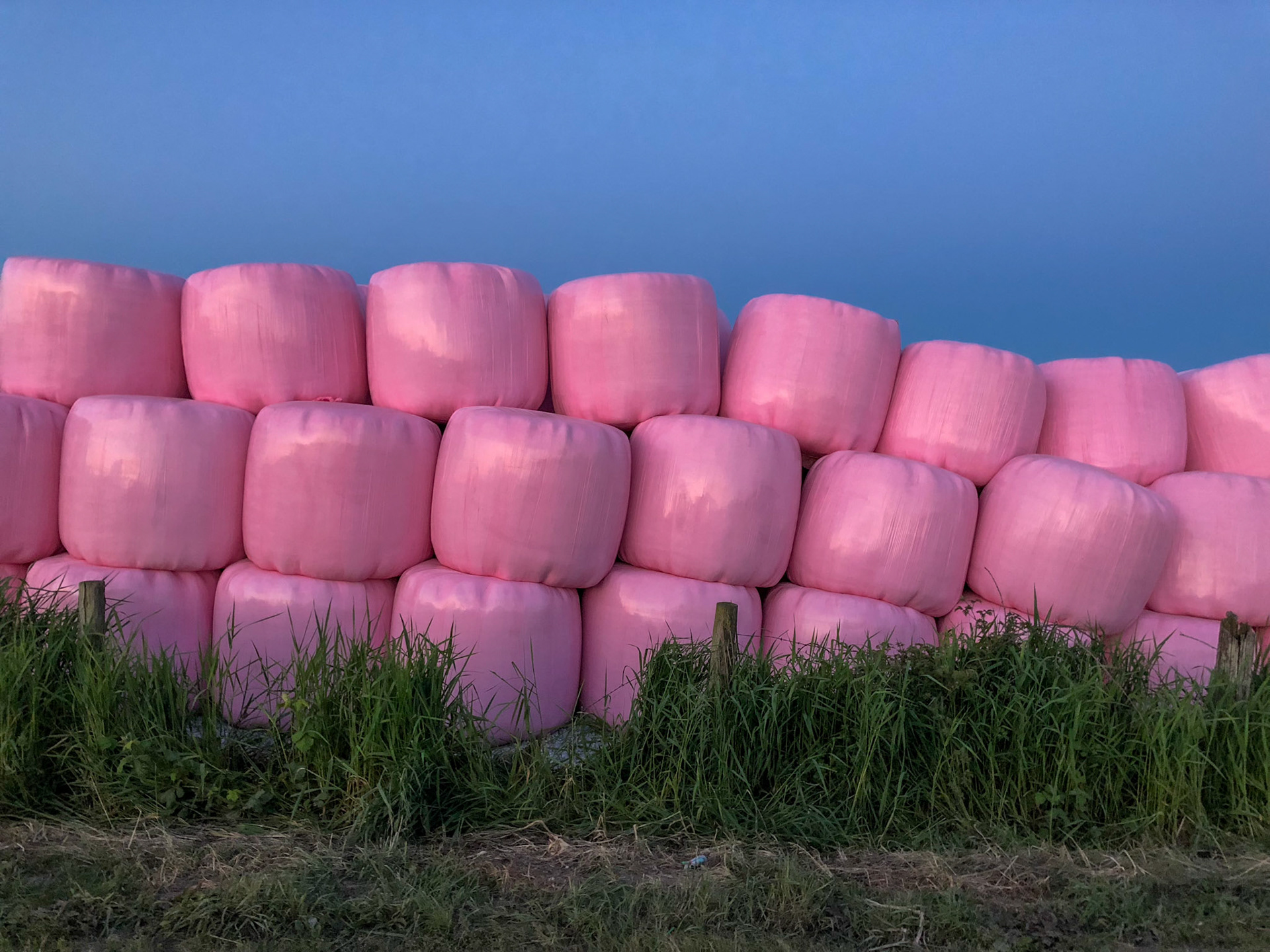 Hay in plastic LaConner, Washington