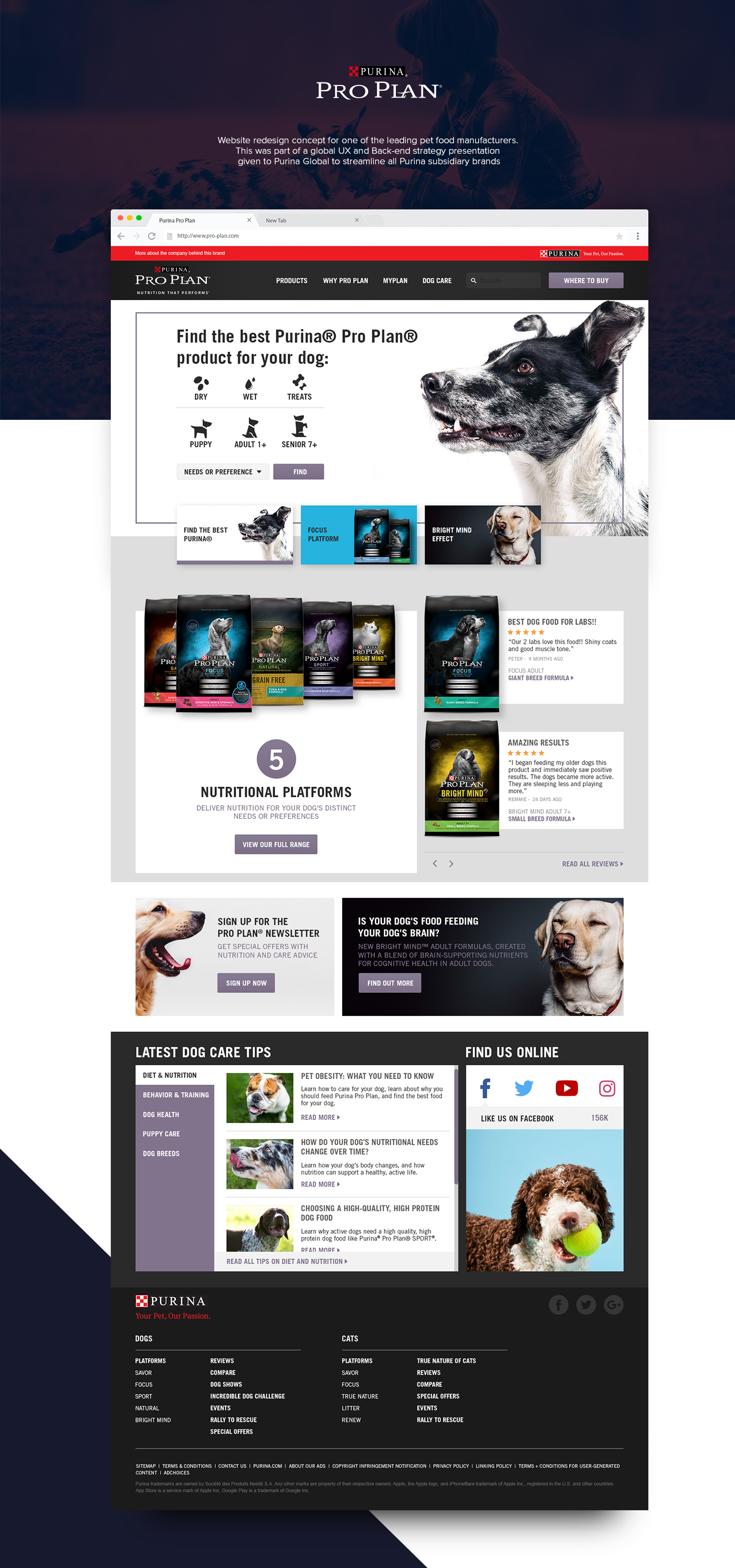 Purina website store