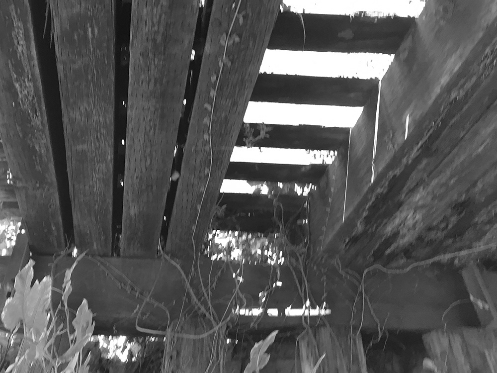 View Under Trestle Bridge