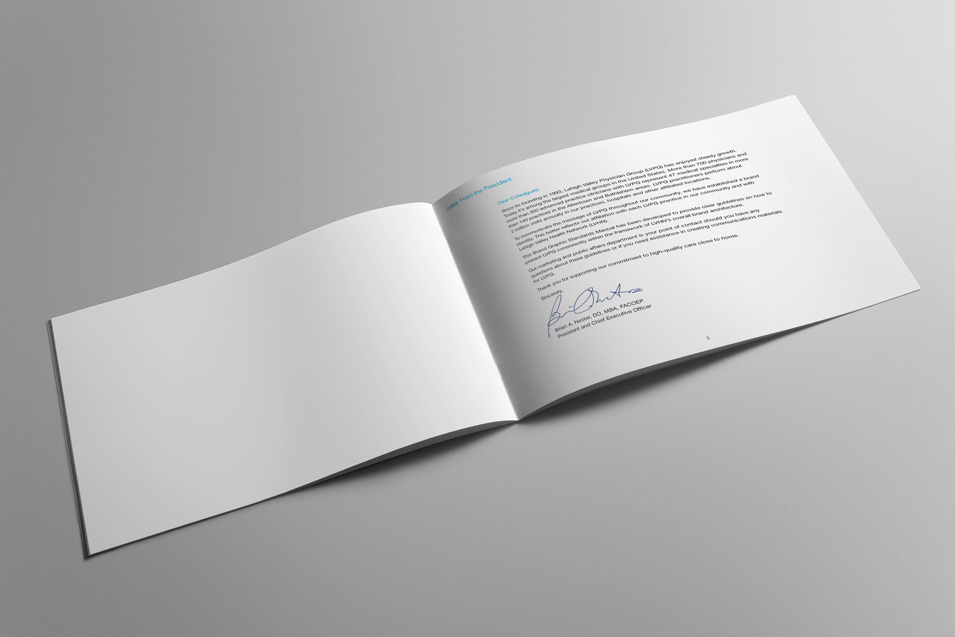 Brand graphic standards manual for Lehigh Valley Physician Group.