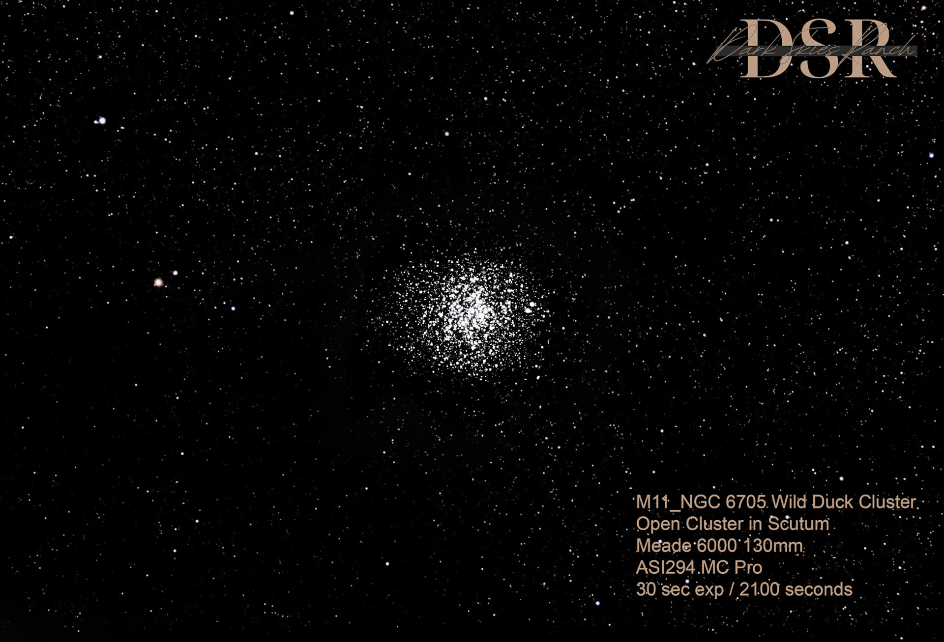 M11 Wild Duck Cluster