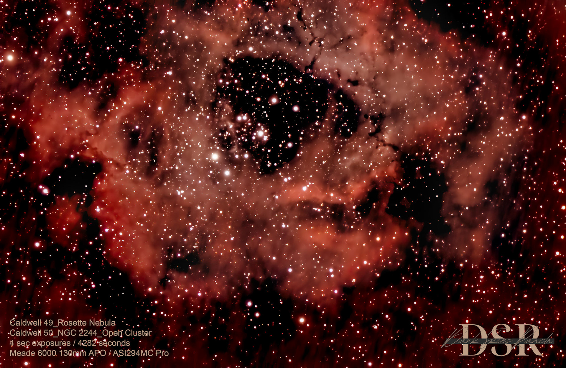 Rosette Nebula