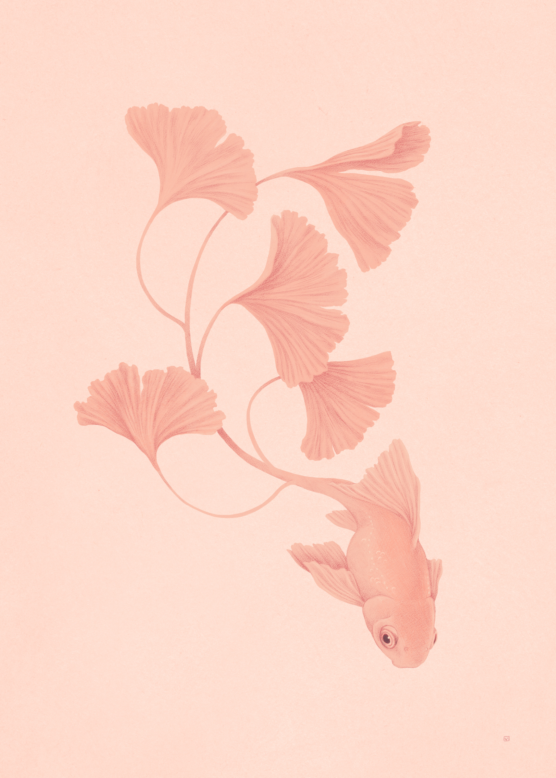 Fantail