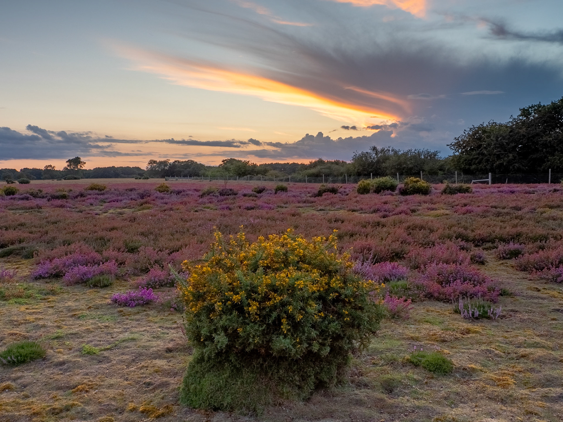 Dunwich Heath Sunset 5