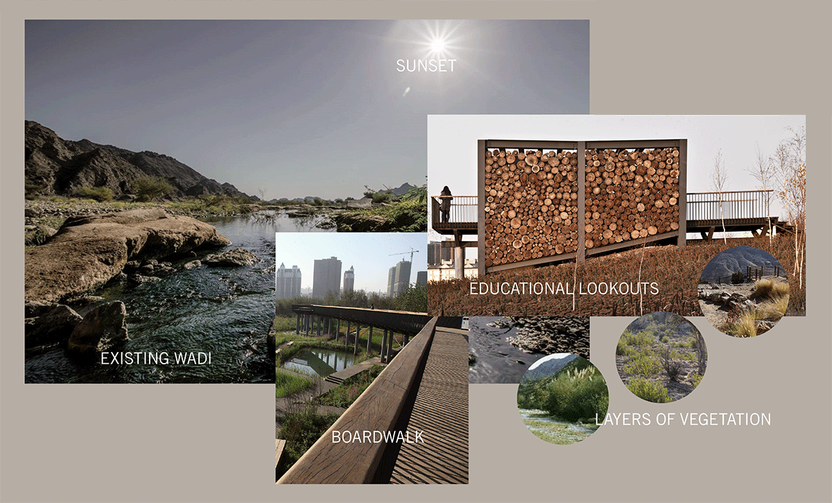 Collage of sustainable design with stormwater treatment plants, public boardwalk and viewing deck along the wadi.